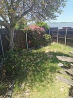 To Let 2 Bedroom Property for Rent in Parklands Western Cape
